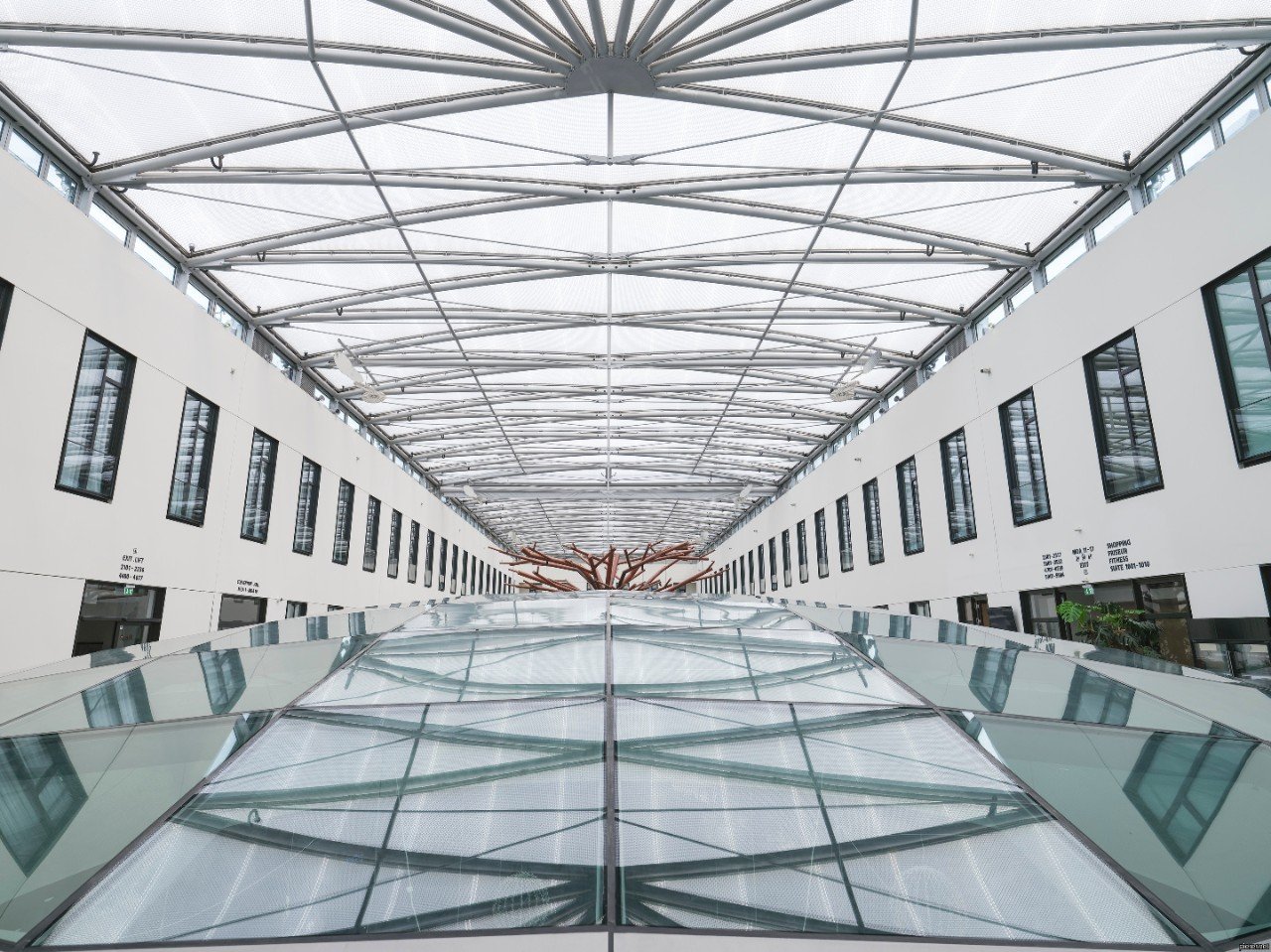 skylights and structural glazing
